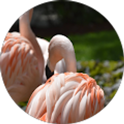 Profile photo of Taylor Messinger