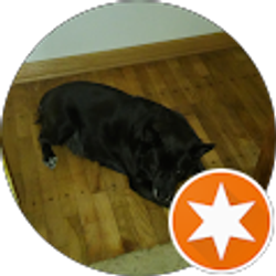 Profile photo of Roger The Tinker