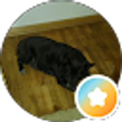 Profile photo of Roger The Tinker