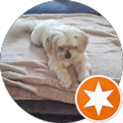 Profile photo of Paul Spencer