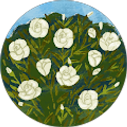 Profile photo of Marie