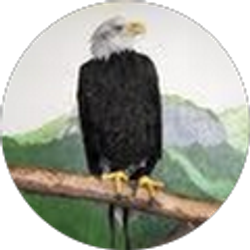 Profile photo of Bruce Bailey