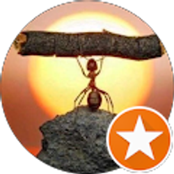 Profile photo of Gonza Gonza