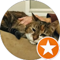 Profile photo of Pat Gould