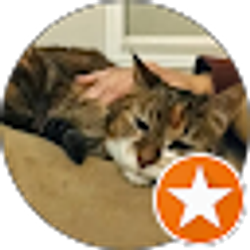 Profile photo of Pat Gould