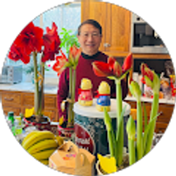 Profile photo of David Wu