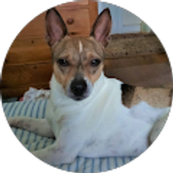 Profile photo of Penelope Keating