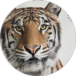 Profile photo of Candido Aguilar