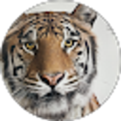 Profile photo of Candido Aguilar
