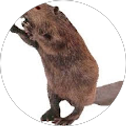 Profile photo of Kyah Hicks