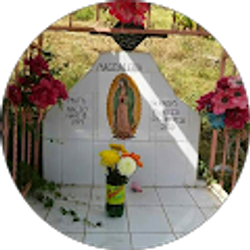 Profile photo of Saul Garcia