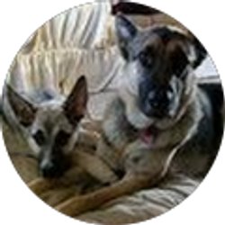 Profile photo of Michaela Aust