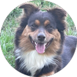 Profile photo of Tammy Tate