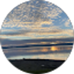 Profile photo of Sanchez707
