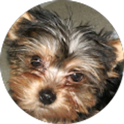 Profile photo of Ruby Fast