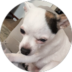 Profile photo of selena g