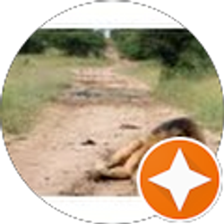 Profile photo of Guillermo Rodriguez