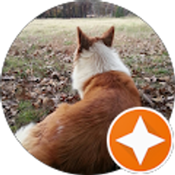 Profile photo of Miranda Brink