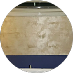 Profile photo of Betsy Lozada