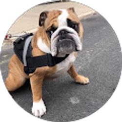 Profile photo of Tim Lisowski