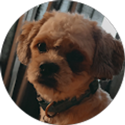 Profile photo of Chelsea Lydon