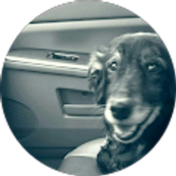 Profile photo of Barbara Buonconsiglio