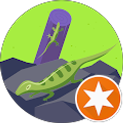 Profile photo of M B