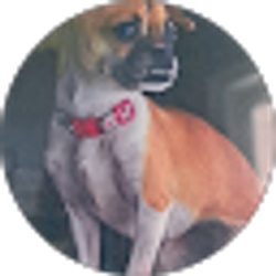 Profile photo of Reyes Fuentes