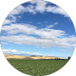 Profile photo of Mauricio Garcia