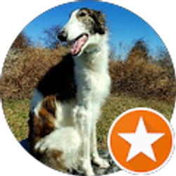 Profile photo of Jessica Dinowitz