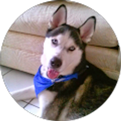 Profile photo of Cony Vega