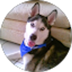 Profile photo of Cony Vega