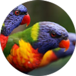 Profile photo of joyce davis