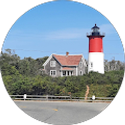 Profile photo of Tony Amico