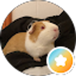 Profile photo of Chris Ali