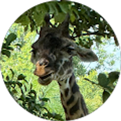 Profile photo of Marshall Reiff