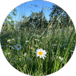 Profile photo of Nick Informally