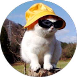 Profile photo of Genesis Zamarripa