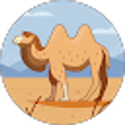 Profile photo of Paint bet