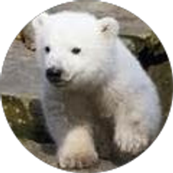 Profile photo of michael fitzgerald