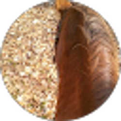Profile photo of Kim P.