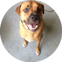 Profile photo of SmithTone Records