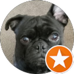 Profile photo of Michael DiNapoli