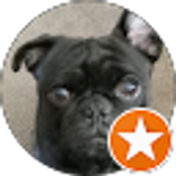 Profile photo of Michael DiNapoli