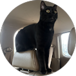 Profile photo of Humberto Flores