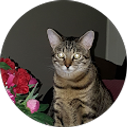 Profile photo of Celinda Alarcon Guirola