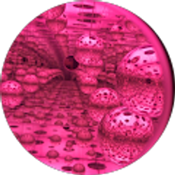 Profile photo of Caitlin