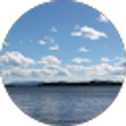 Profile photo of Cynthia Haughery