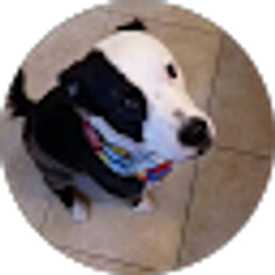 Profile photo of Amy Willison