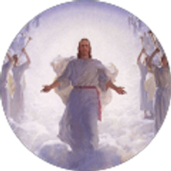 Profile photo of Looneytoons Indville